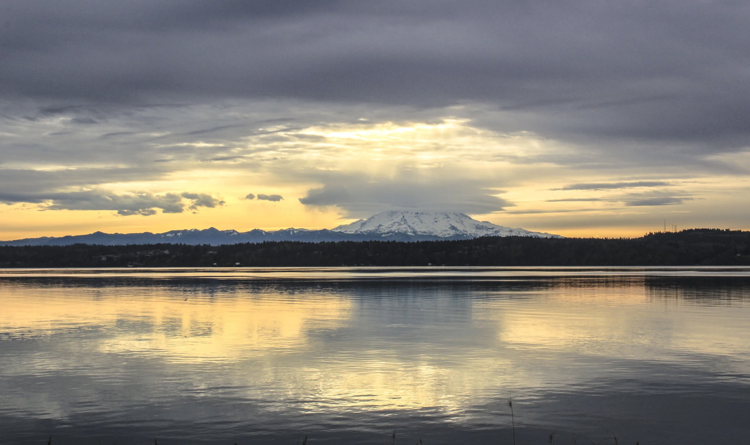 vashon morning glass_31.JPG