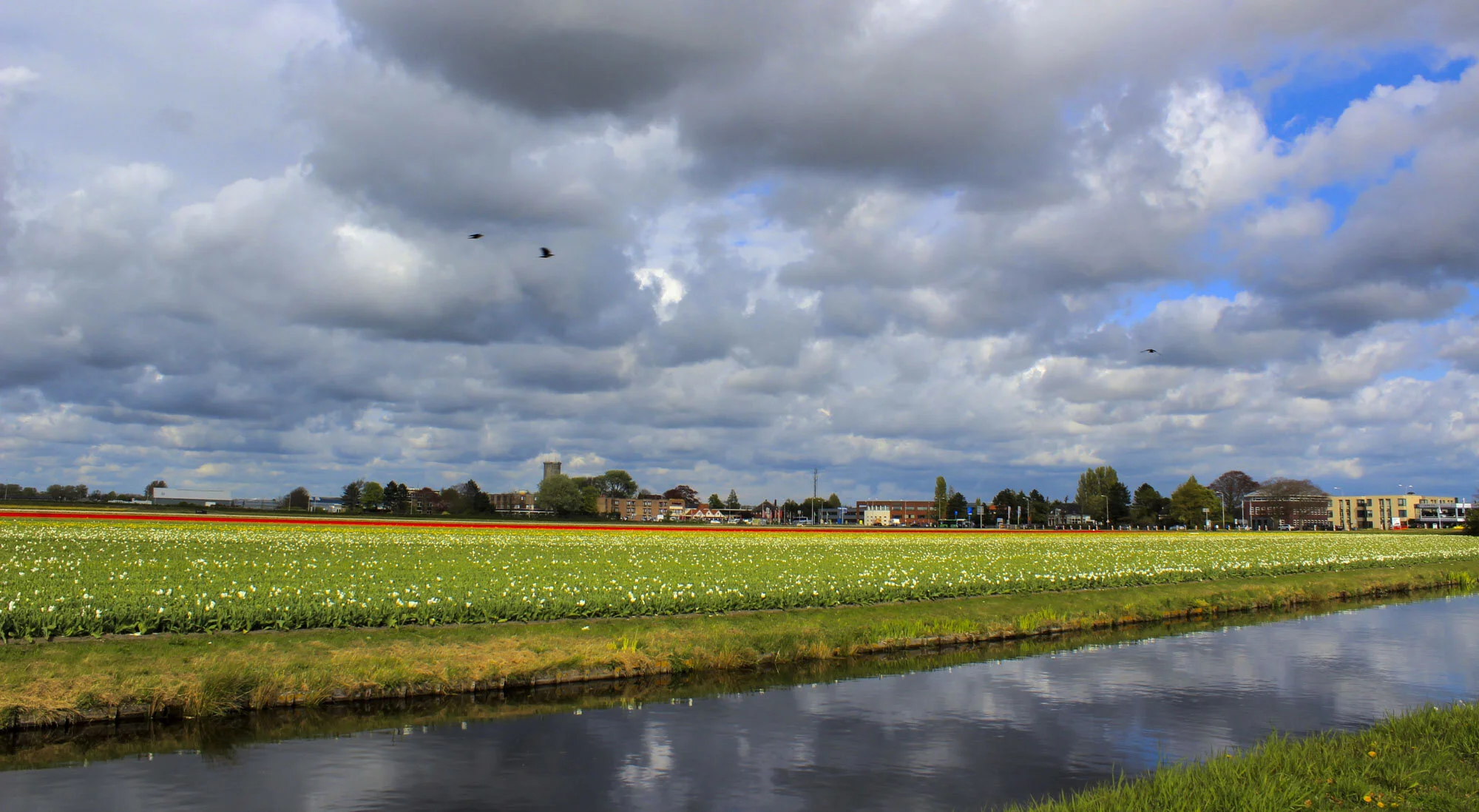 N14.JPG