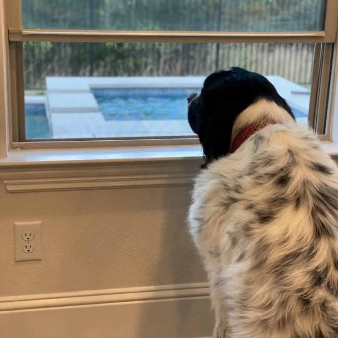 Doing and Being: Thread The Needle of Life - Week #3 of The Awakening Journey