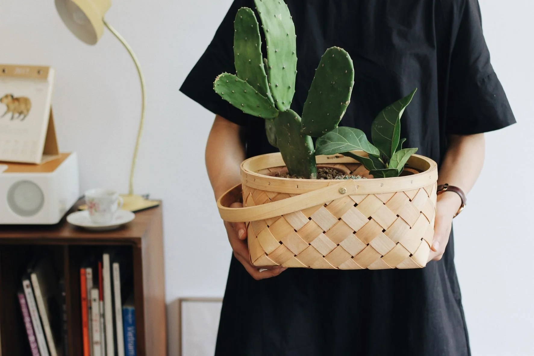 The Power of Creating Conscious Containers - Week #12 of The Awakening Journey