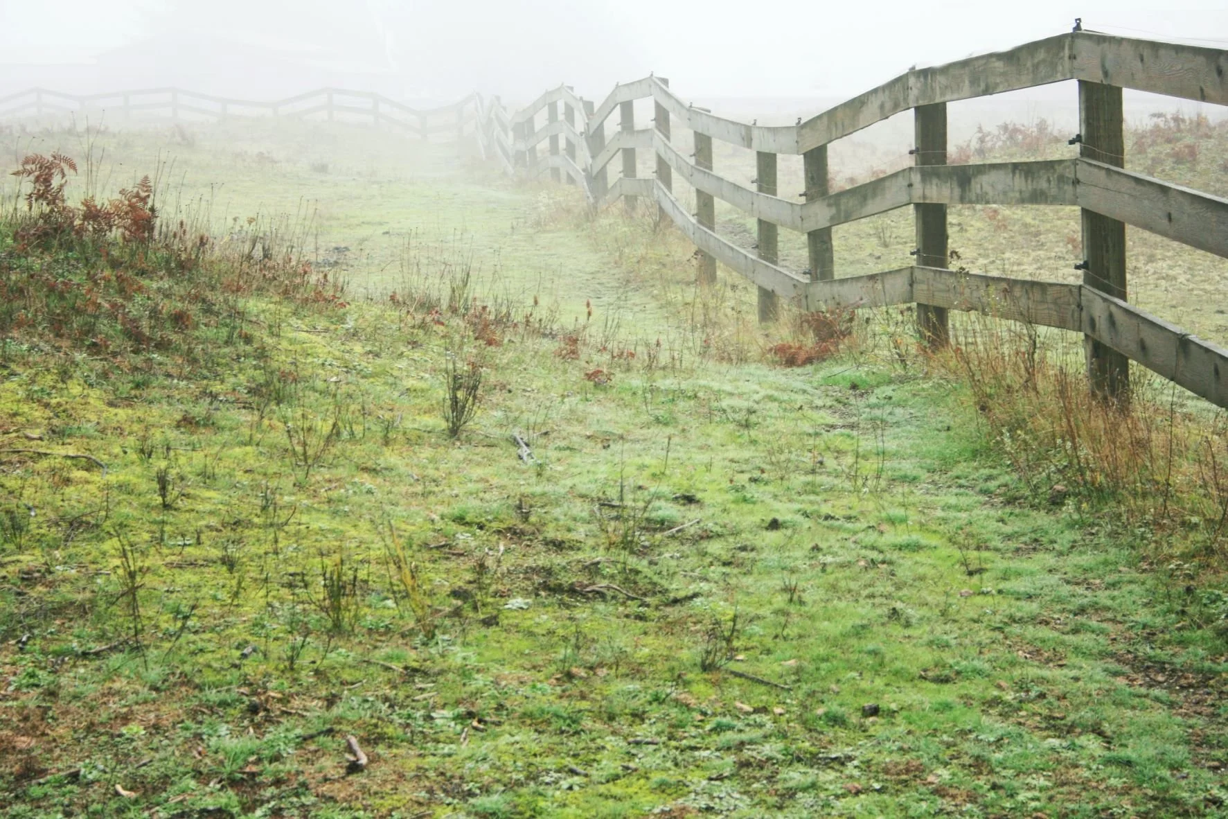 Protect Your Values: Boundaries - Week #15 of The Awakening Journey