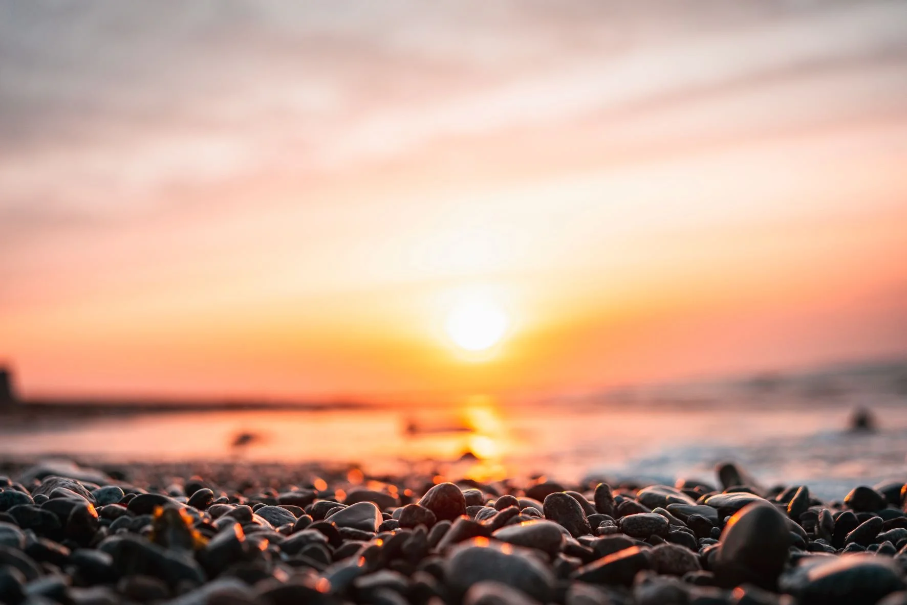 The Power of Aligning with Your Inner and Outer Purpose - Week #20 of The Awakening Journey