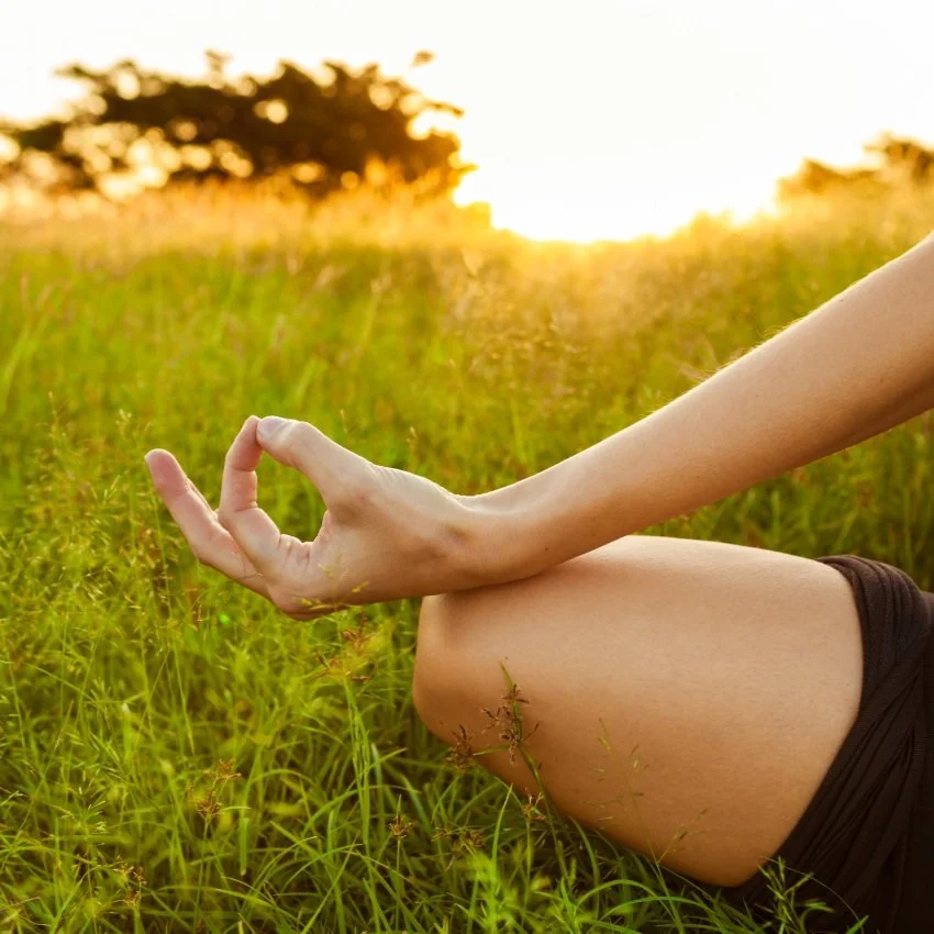 Physical Wellbeing and Awakening - Week #51 of The Awakening Journey
