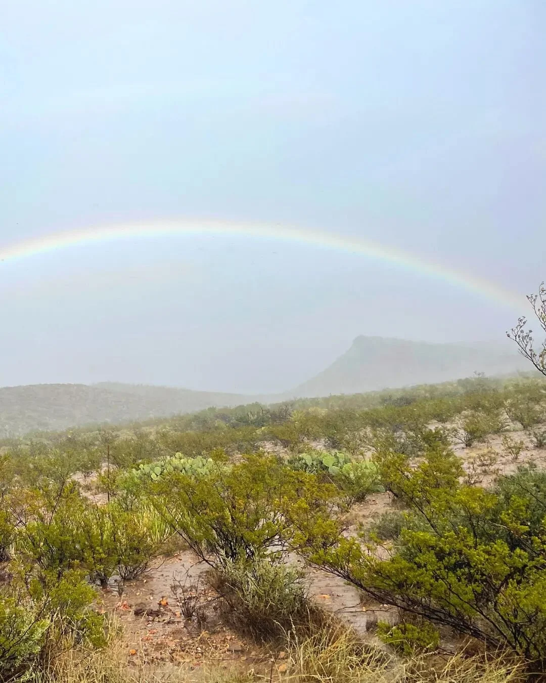 In this final week of our 52-Week Awakening Journey, I know I'm supposed to ignite your curiosity for what's next. And while what&rsquo;s next is going to be incredible, I need to be in integrity with what&rsquo;s going on right NOW!

This week on th