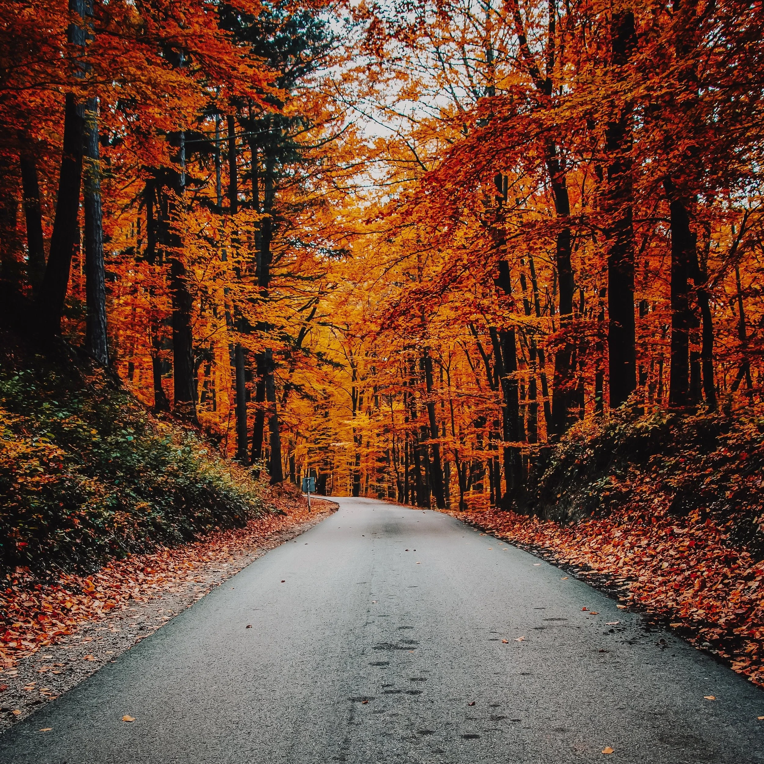 The Beauty of Impermanence