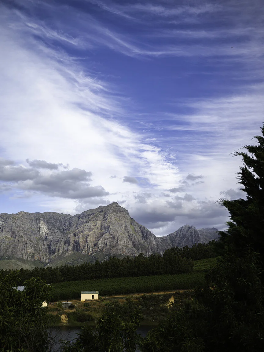 Stellenbosch, South Africa Hasselblad X1D II 50c © Benjamin Timothy Tillmann