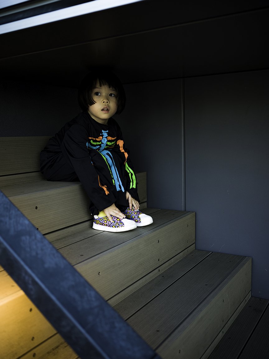 Skeleton on the Stairs