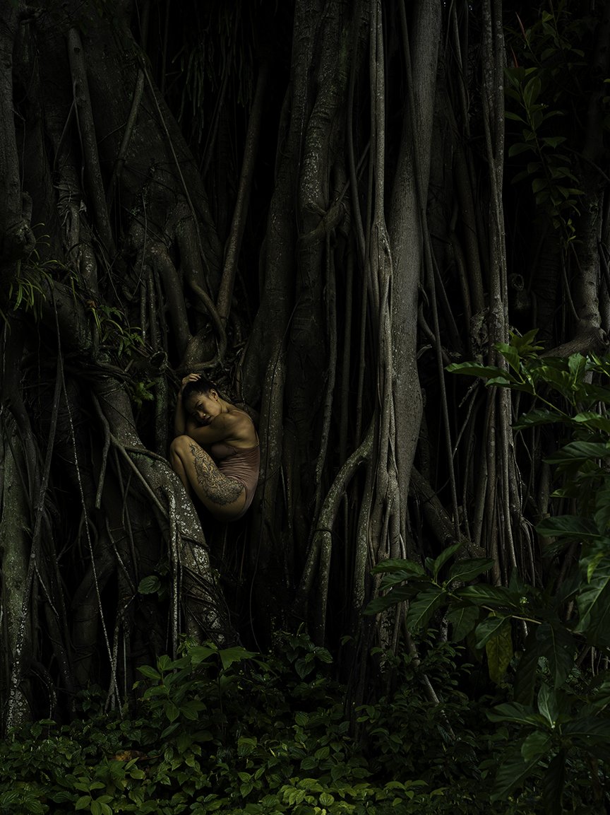 In the Trees
