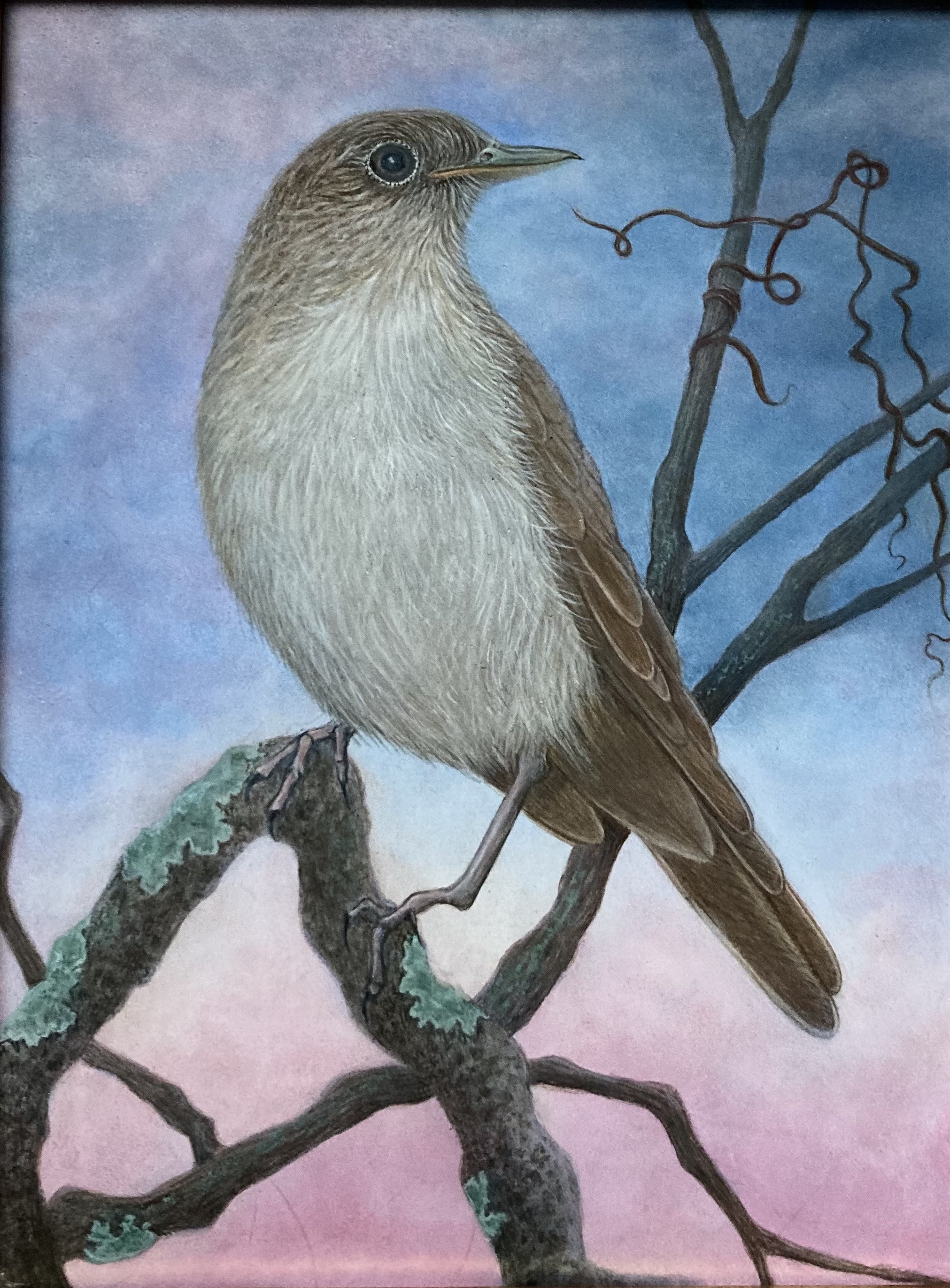 Nightingale
