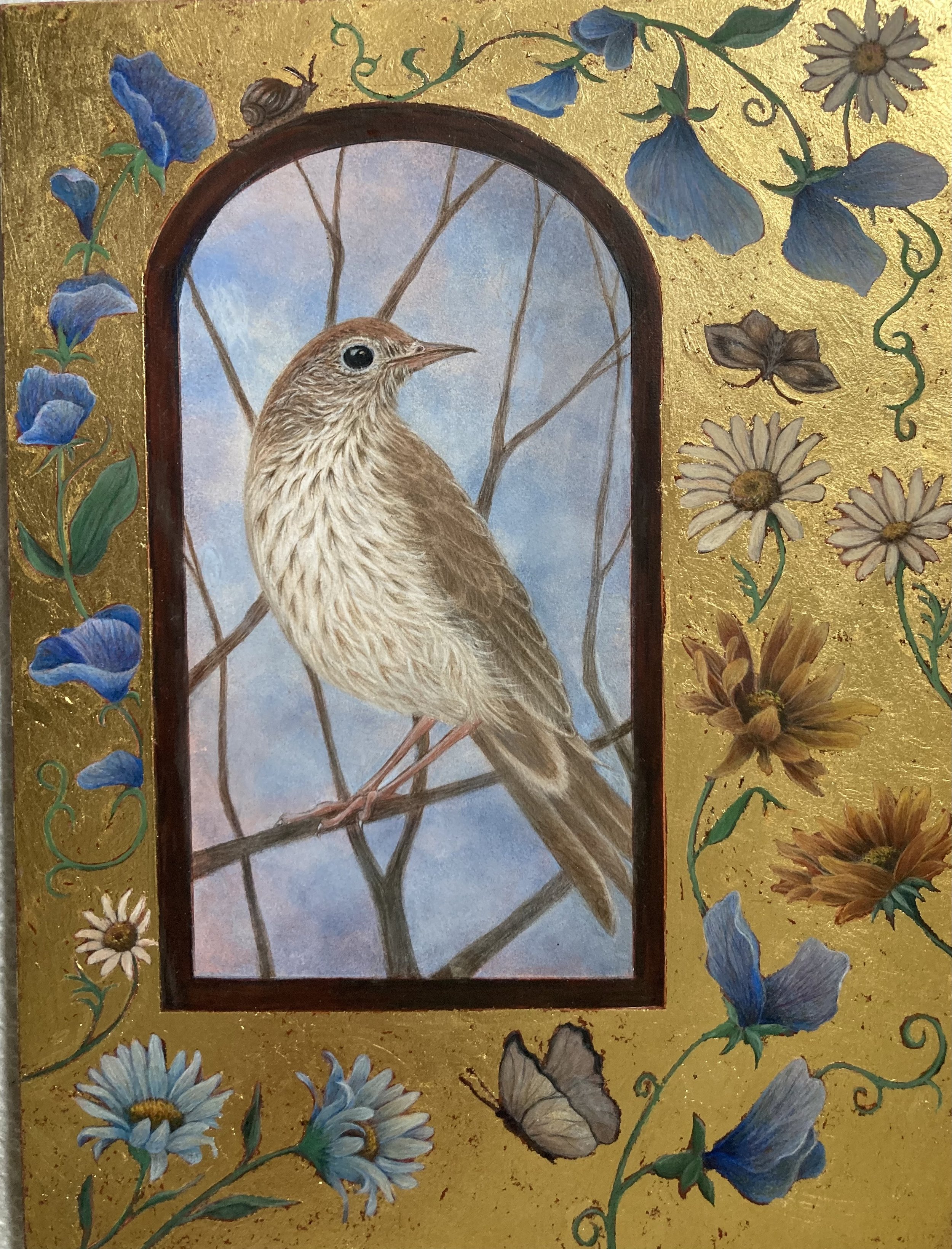 Wood Thrush