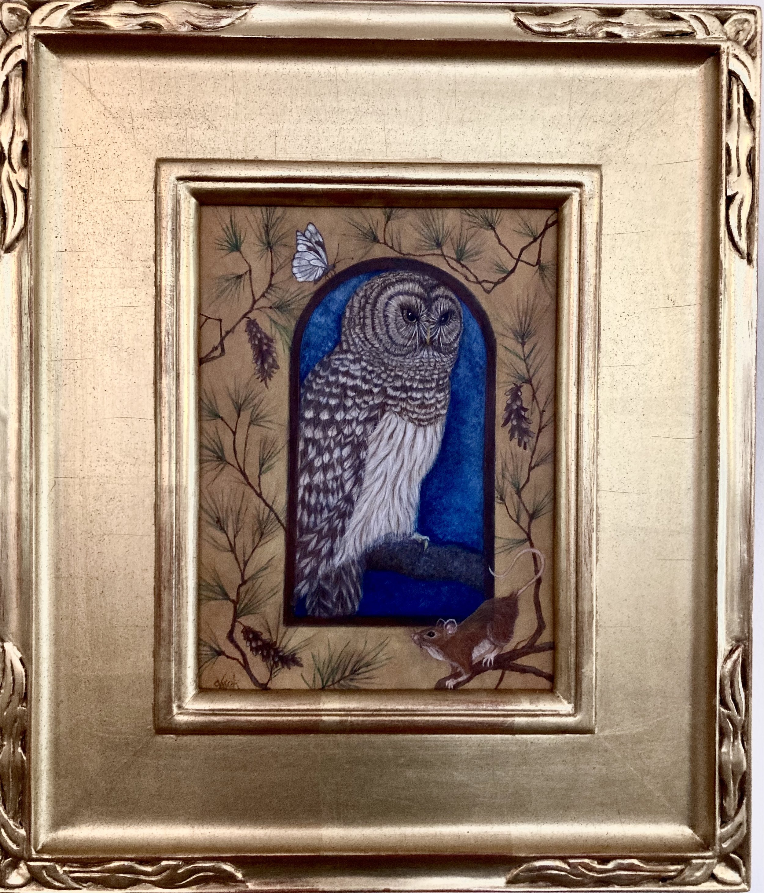 Owl Wise