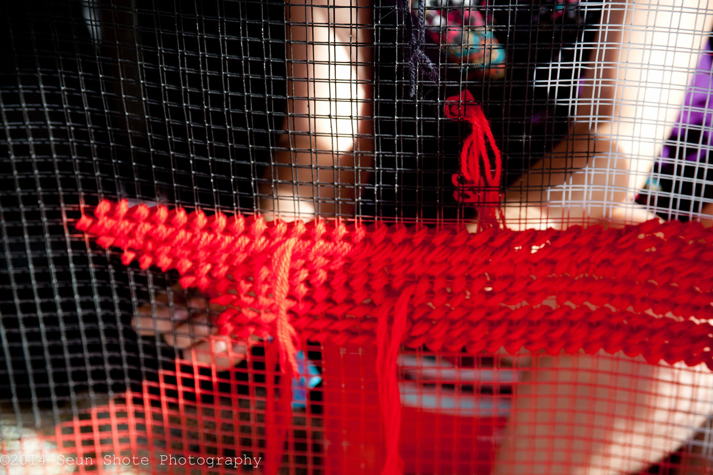 2014_02_14_Splore-092.jpg