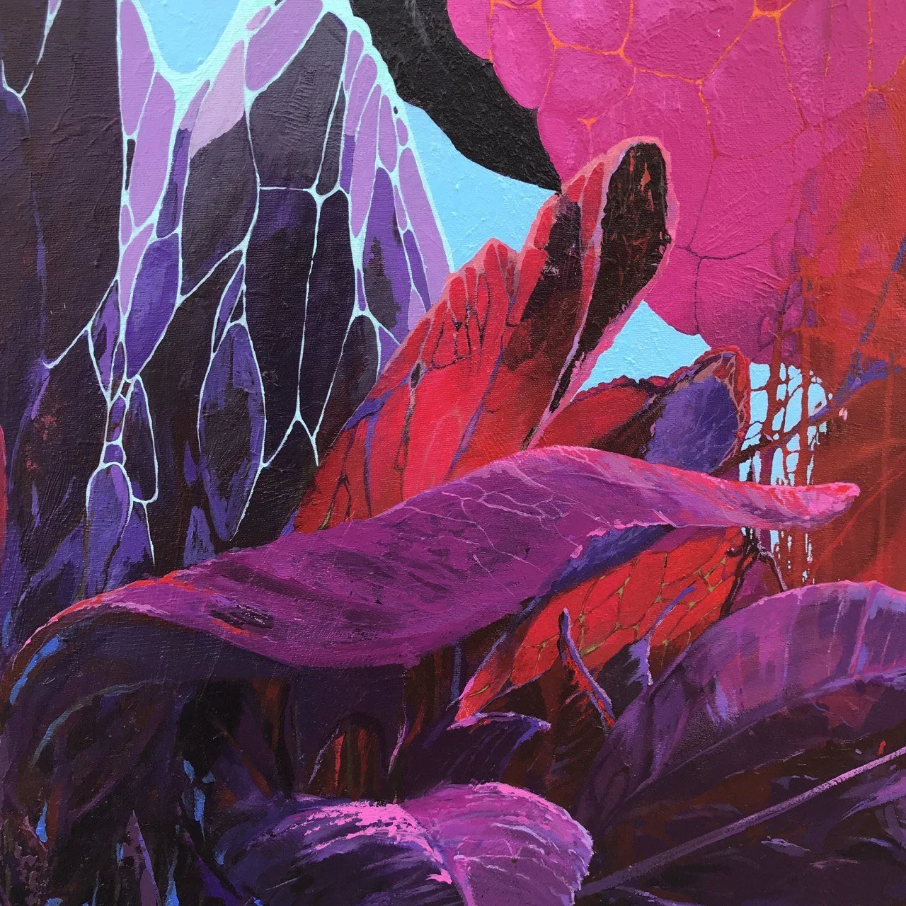 photo1643910341 (3).jpeg