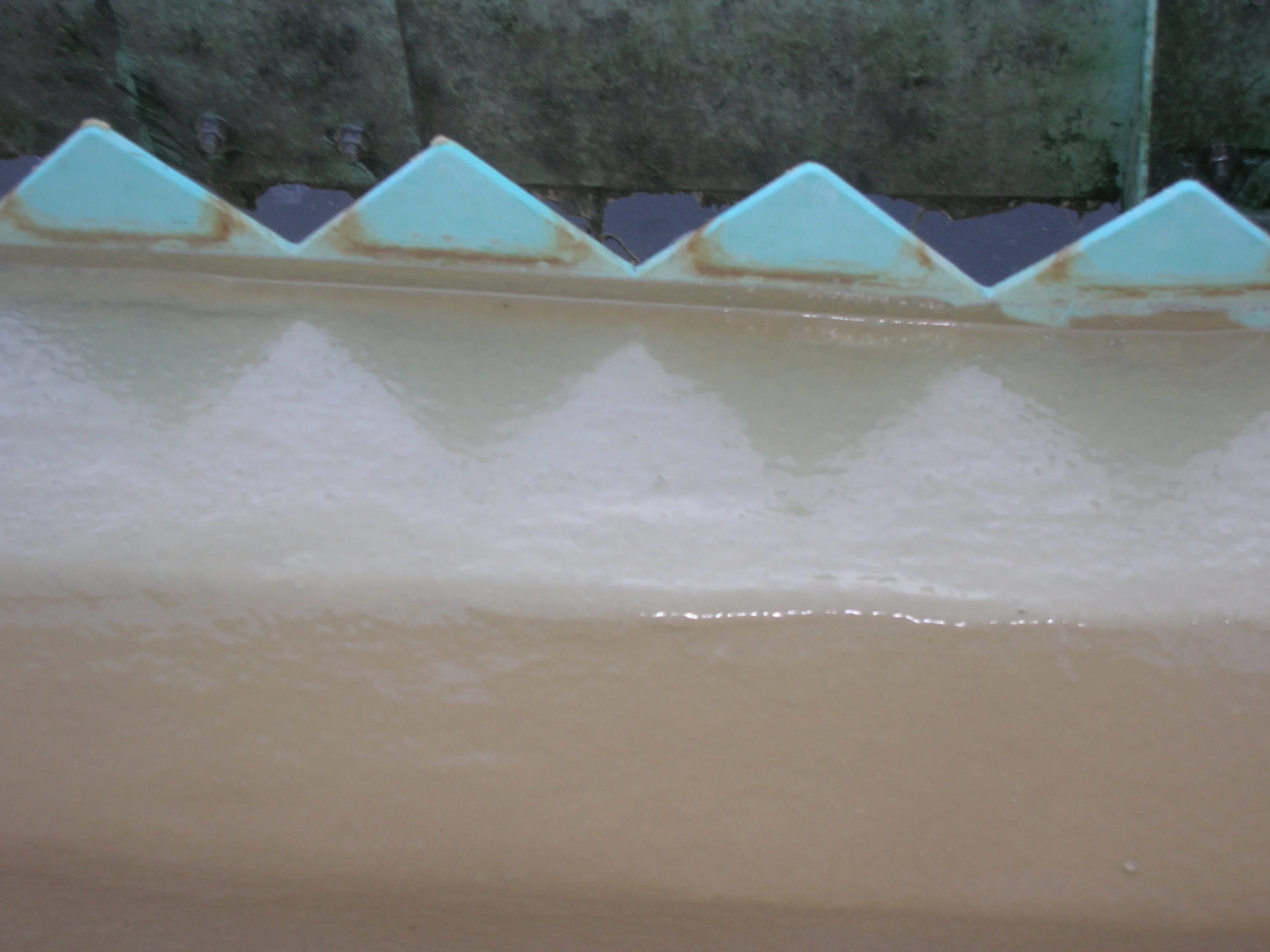 Teeth After Sprayroq.JPG