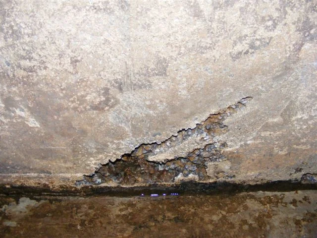 DSCF2363.JPG