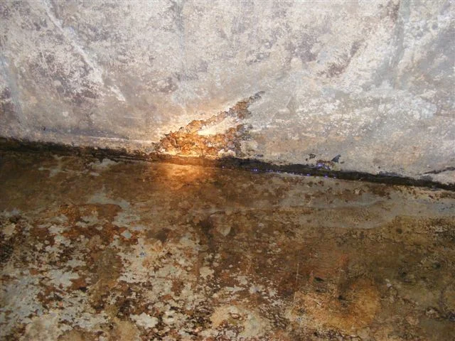 DSCF2368.JPG