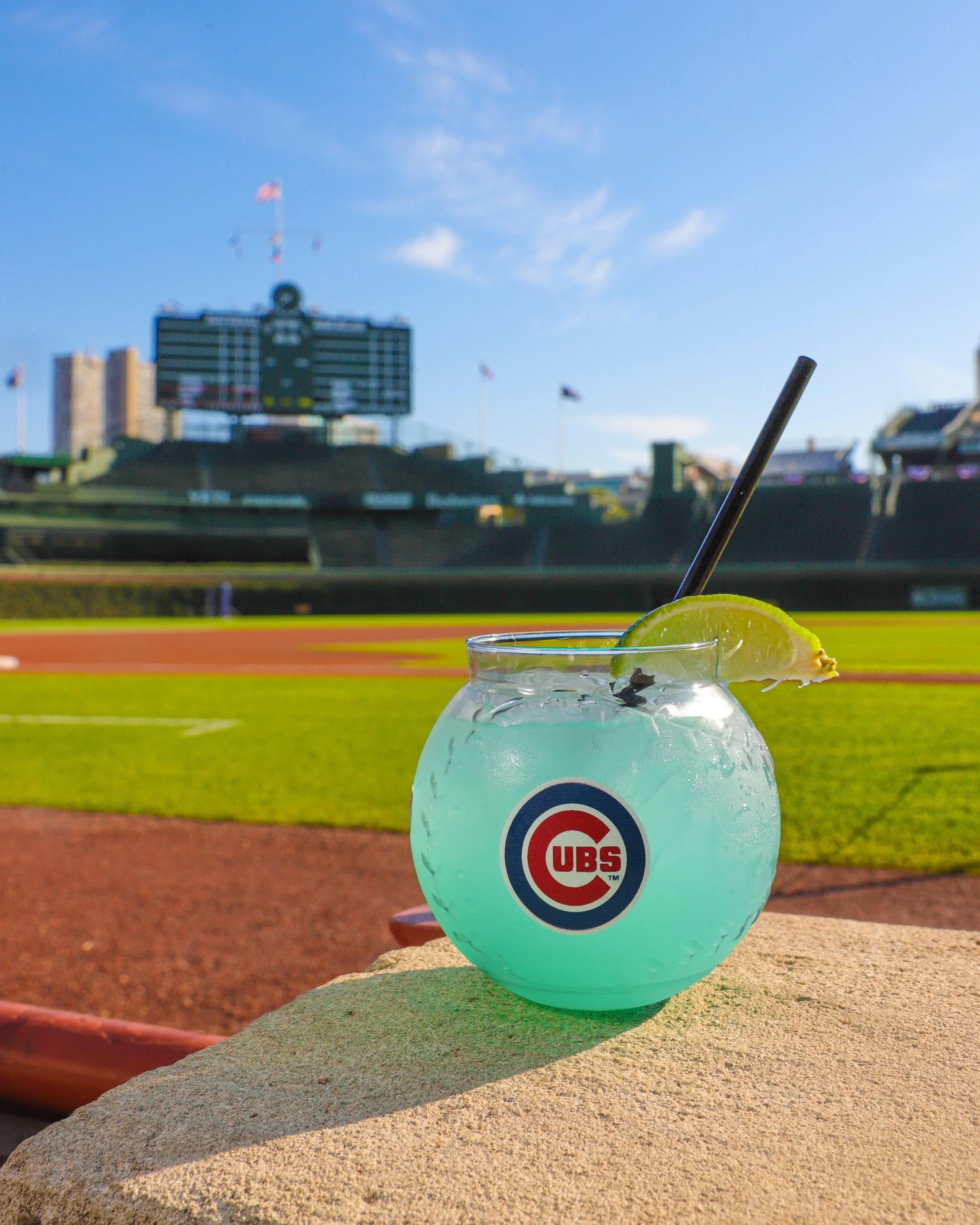 Levy_Cubs_TartallyStudio-2-2.jpeg