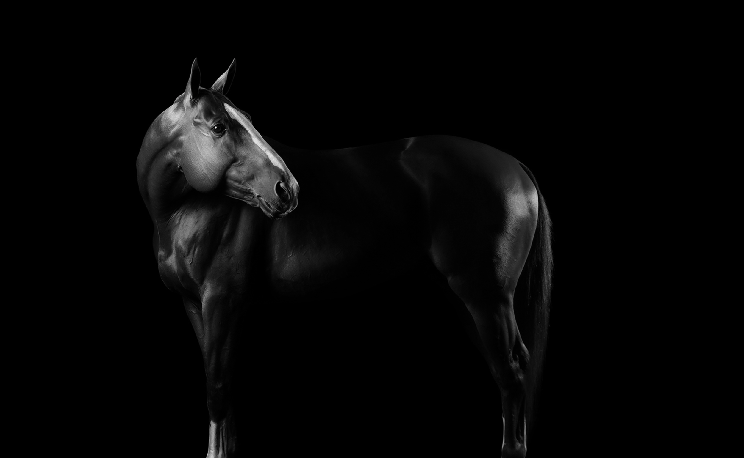 Screen Shot 2019-01-31 at 10.17.02 AM.png