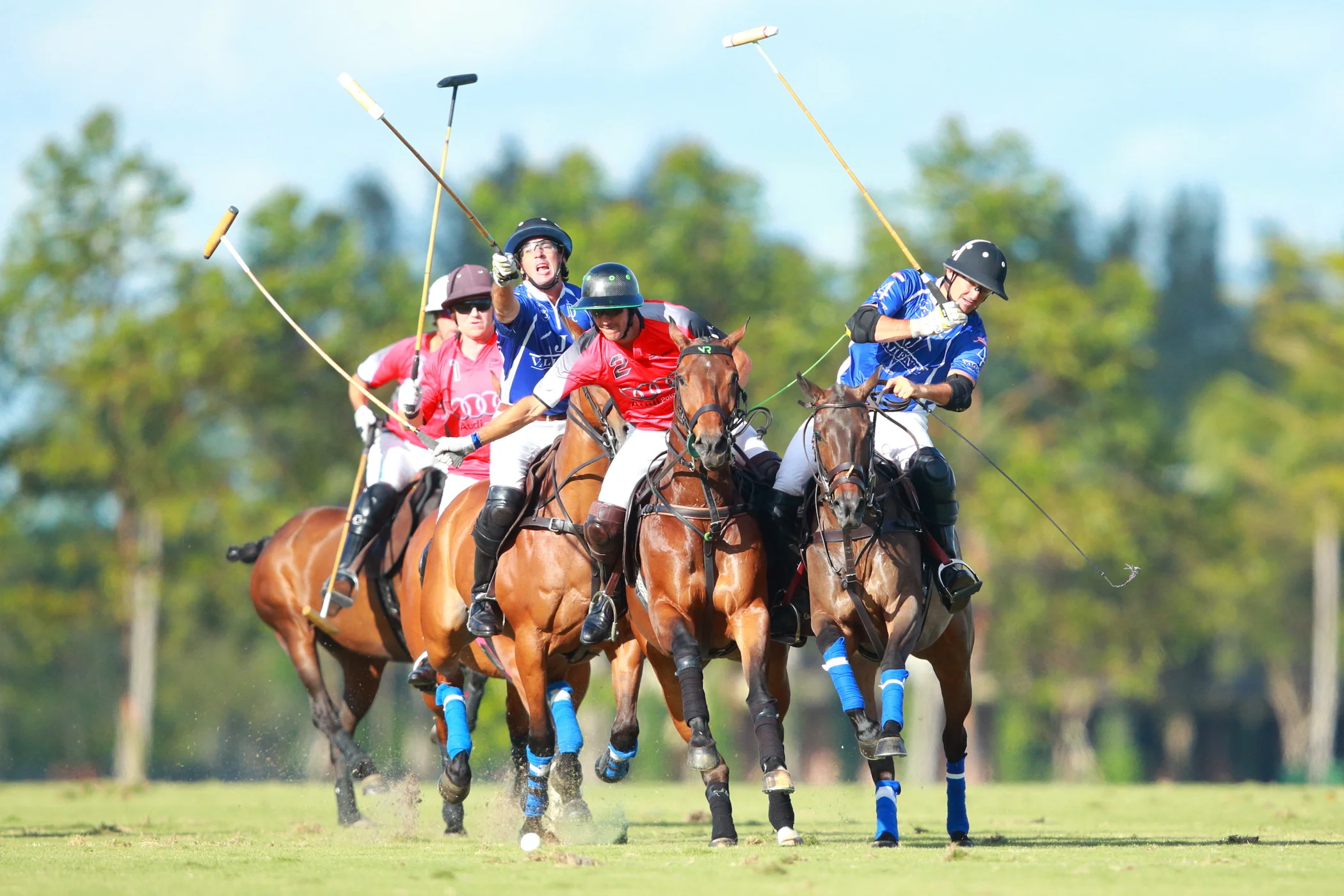Audi Knocks Off Valiente, Colorado Wins On Day Two Of Palm Beach Open; Two World Polo League Games Saturday