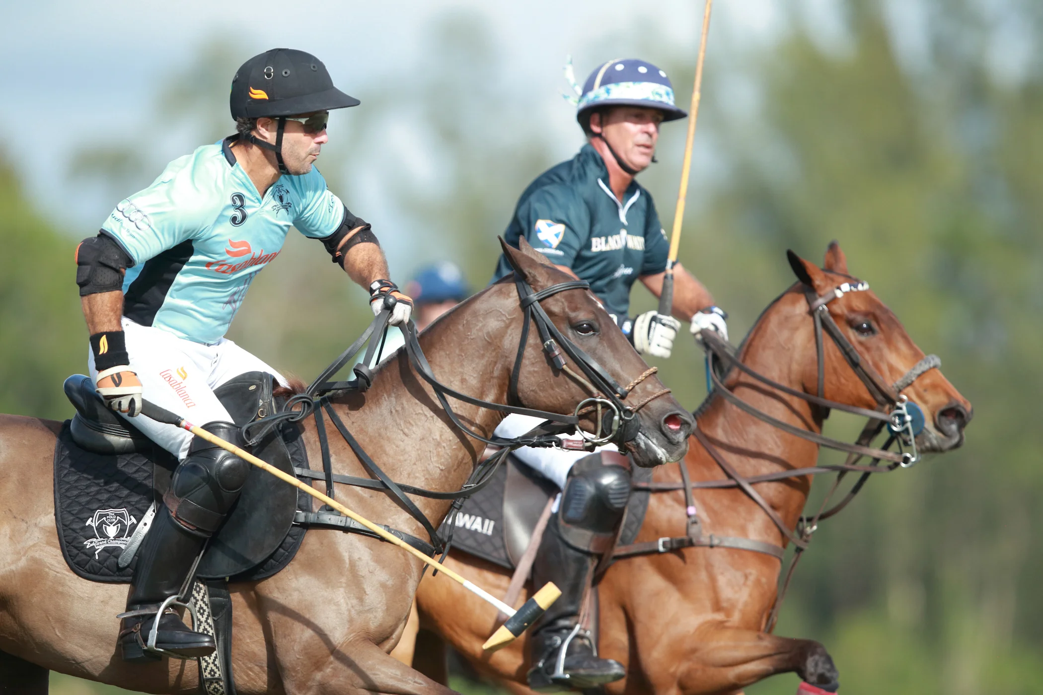 Audi, Grand Champions Win; Two World Polo League Games Sunday Including Afternoon Feature Game At Grand Champions Polo Club
