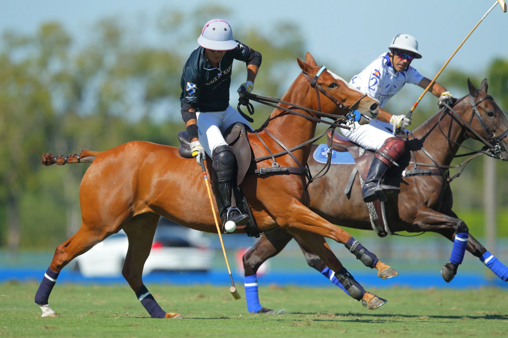 Alegria, Valiente Play Sunday For World Polo League Palm Beach Open Molina Cup At Valiente Polo Farm