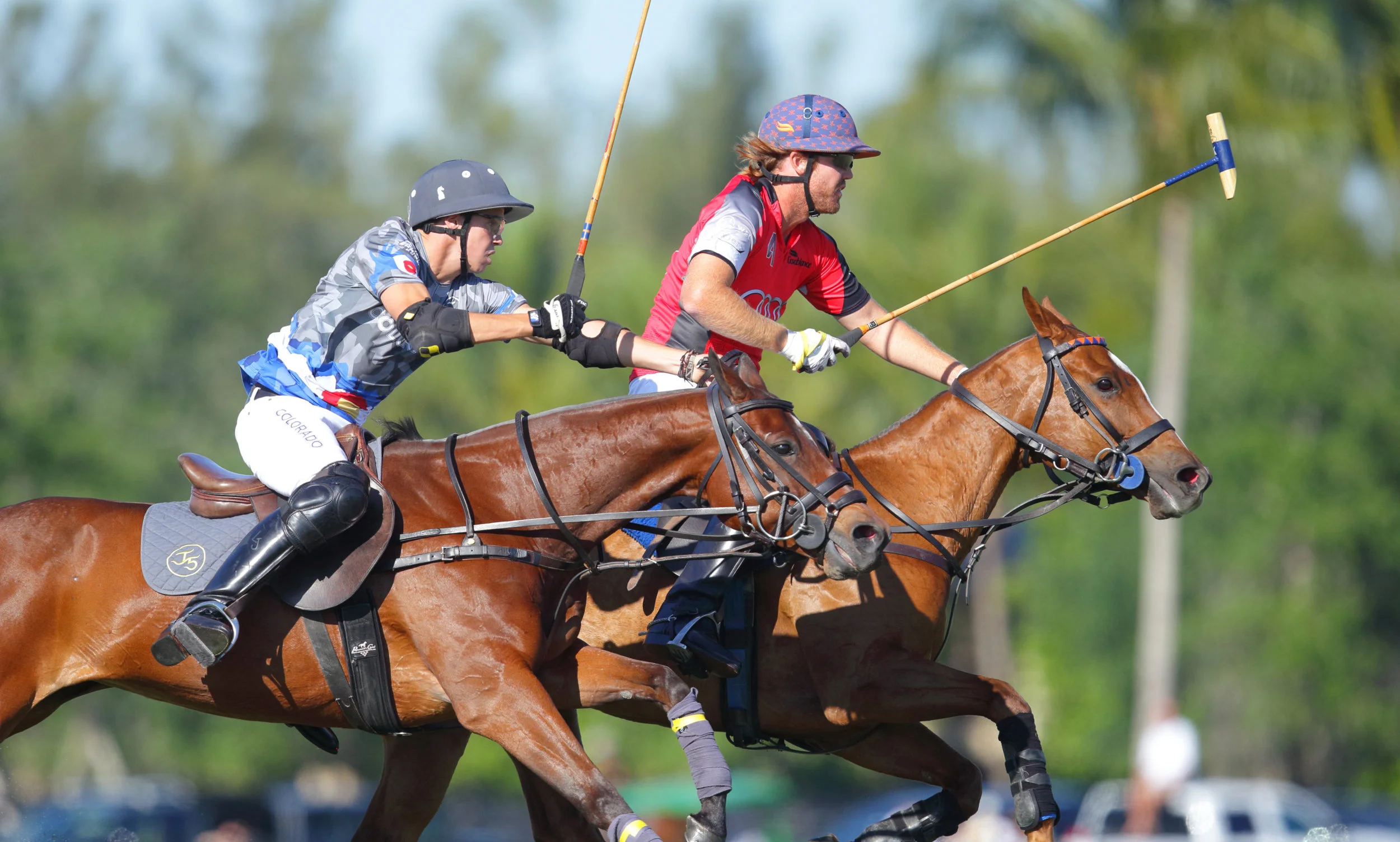 Audi, SD Farms Meet Sunday In World Polo League Palm Beach Open Final At Grand Champions Polo Club