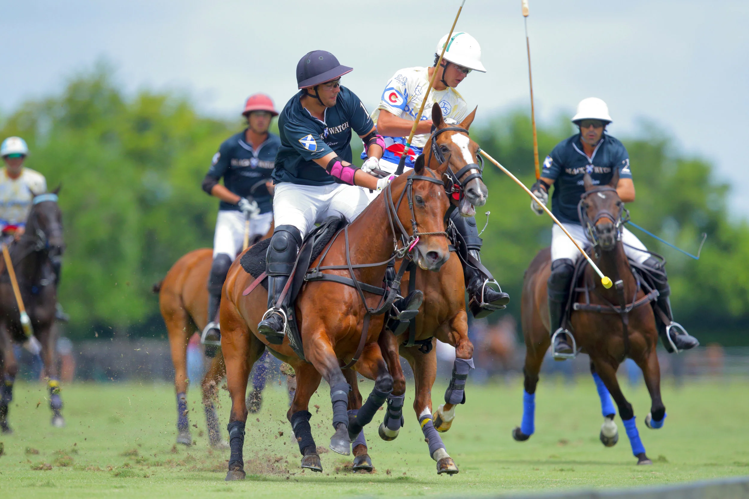 Colorado Wins Triple Crown Of Polo Opener; Alegria Plays Valiente Saturday