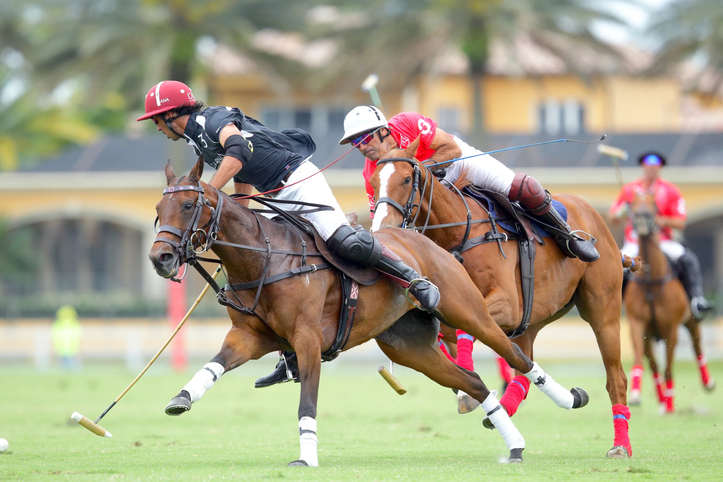 Colorado Remains Undefeated, WPL Wins; Audi Plays Grand Champions And U.S. National Mixed Doubles Makes Its Debut Friday At Valiente