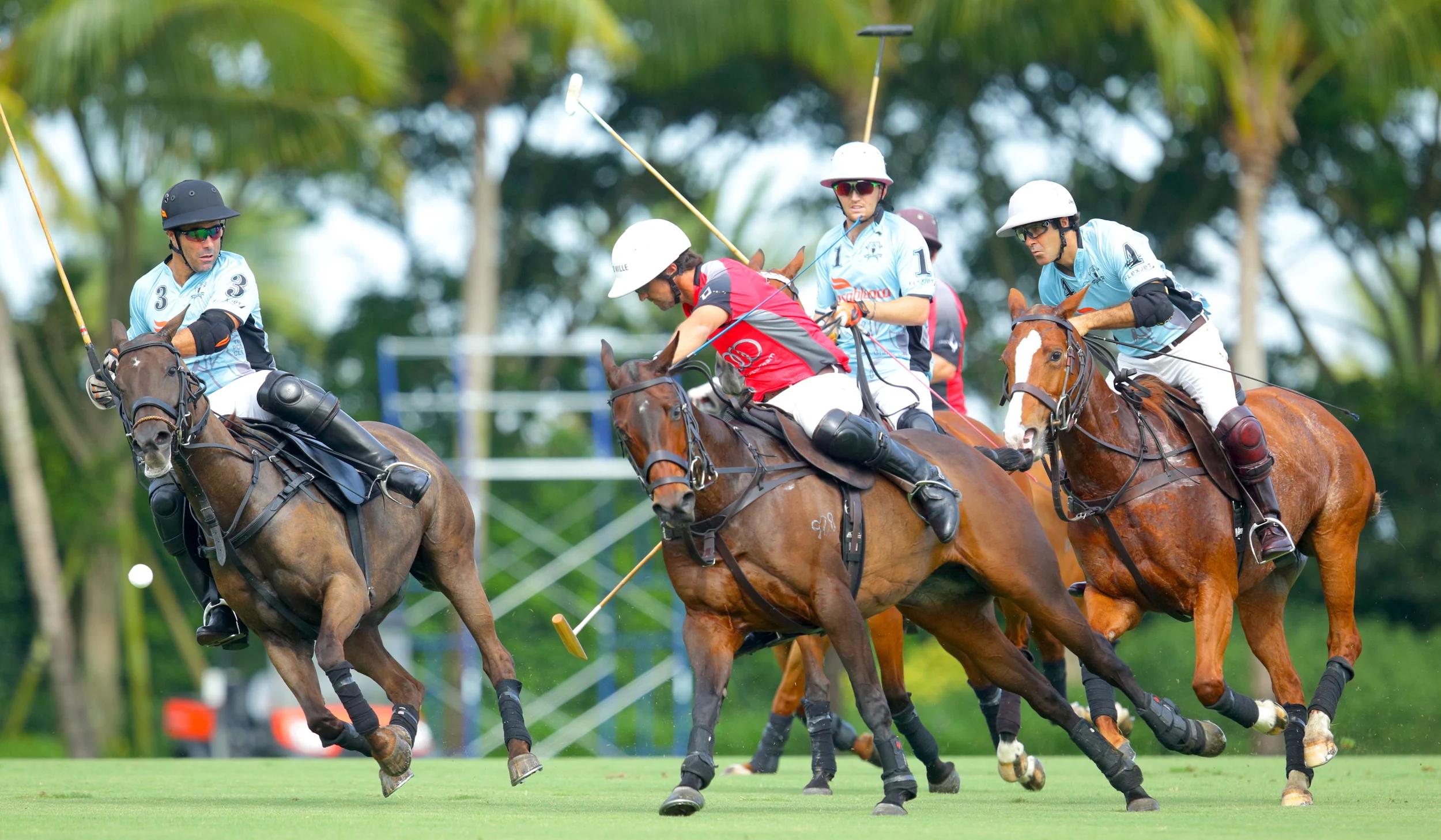 Audi Remains Unbeaten In Triple Crown Of Polo; Alegria Plays Colorado In Key Matchup Saturday At Valiente