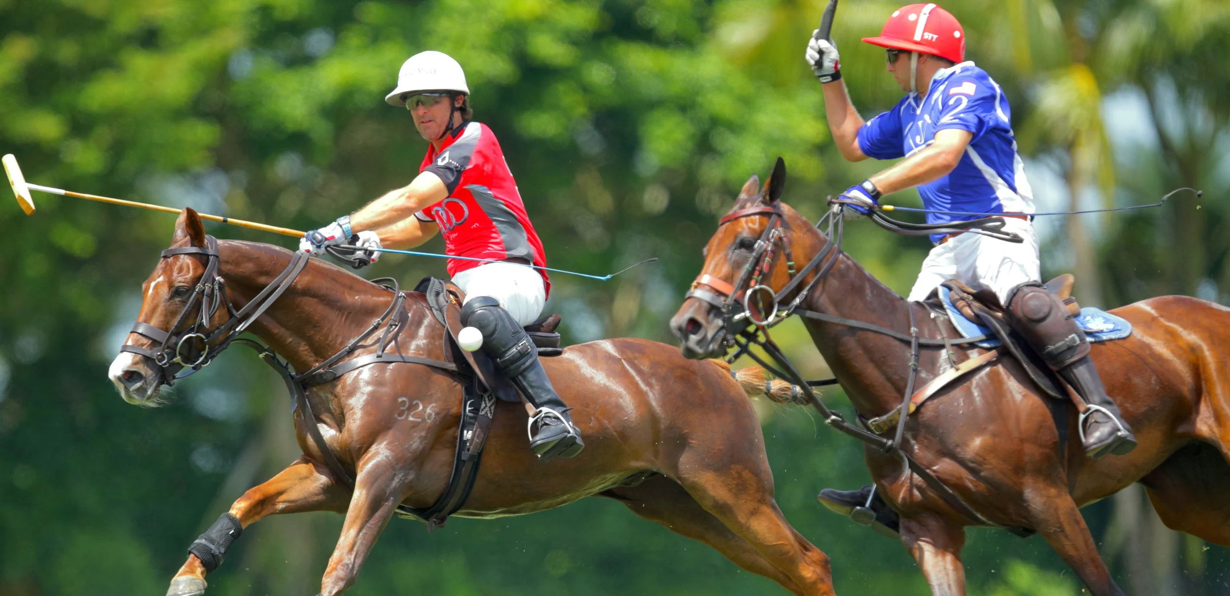 Audi, Colorado Play For Triple Crown Of Polo Sunday At Grand Champions Polo Club; US Trust Cup Saturday At Valiente