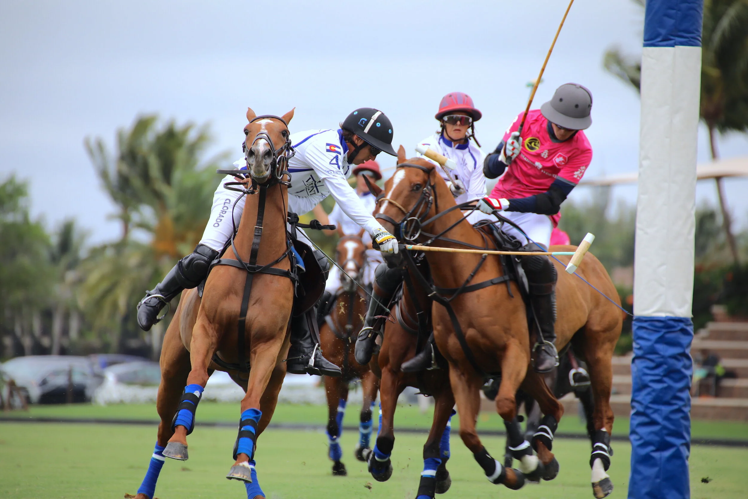 Scone, Valiente, Seminole Casino Win Founders Cup Openers; Casablanca Plays SD Farms Saturday