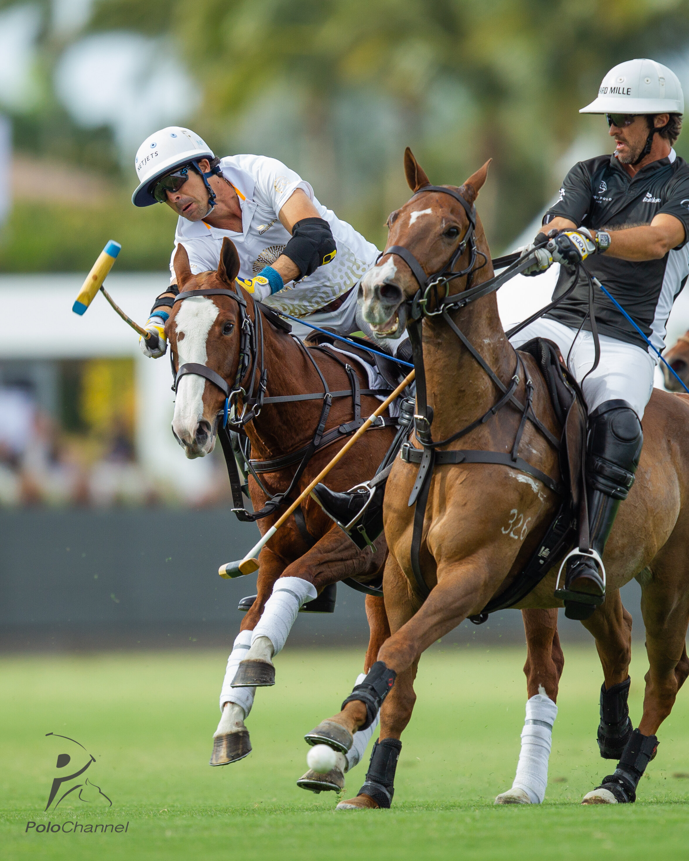 20US 0308 Palm Beach Open Richard Mille vs Amaala - Jaime Cabrera-3692.jpg