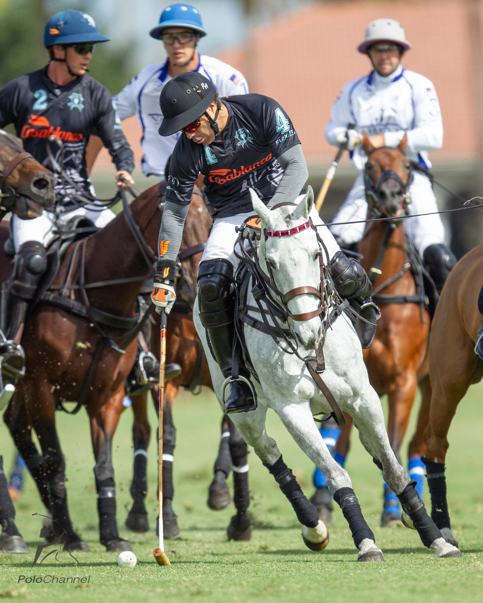 20US 0308 Palm Beach Open Valiente vs Casablanca - Jaime Cabrera-3339.jpg