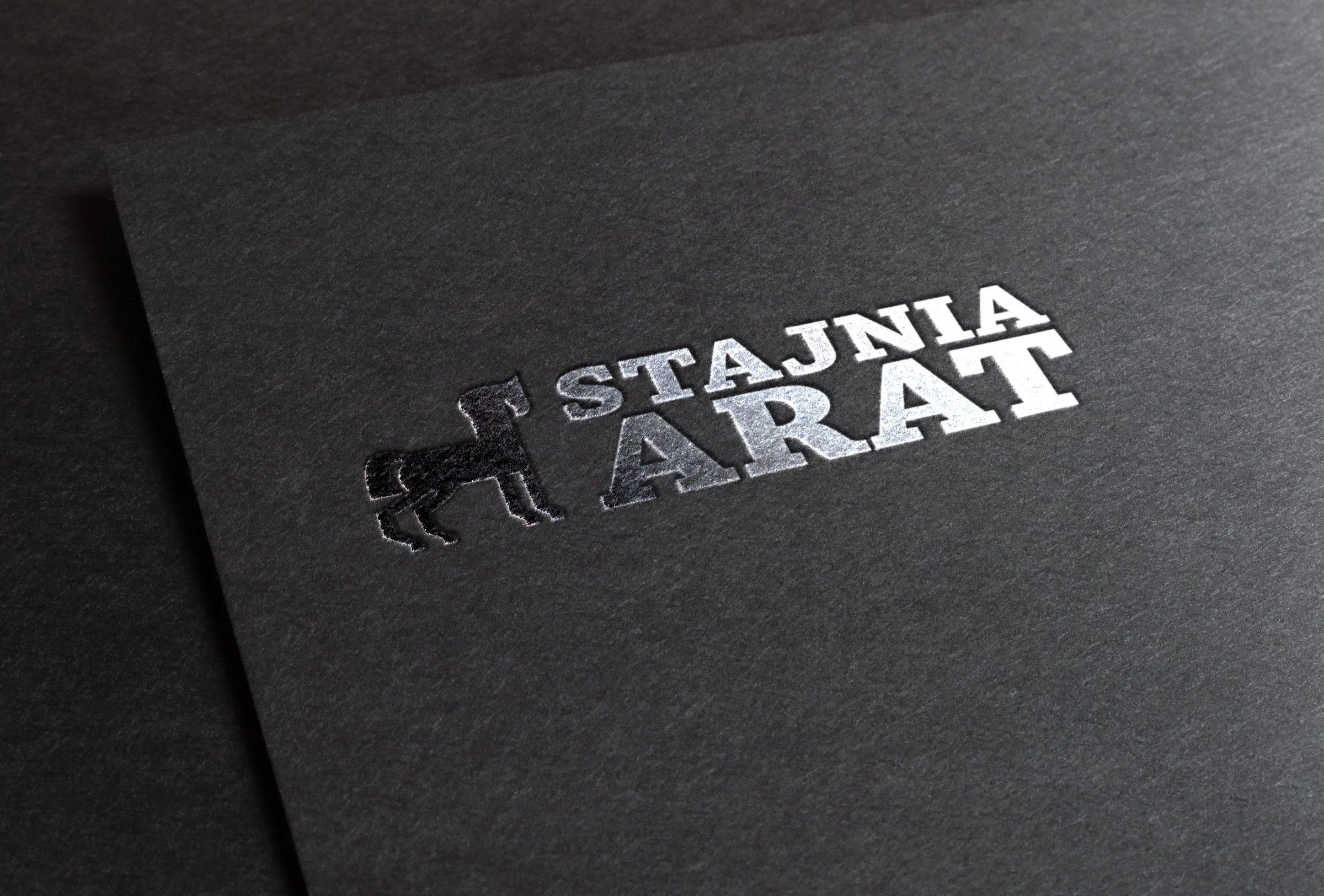 logo_mockup.jpg