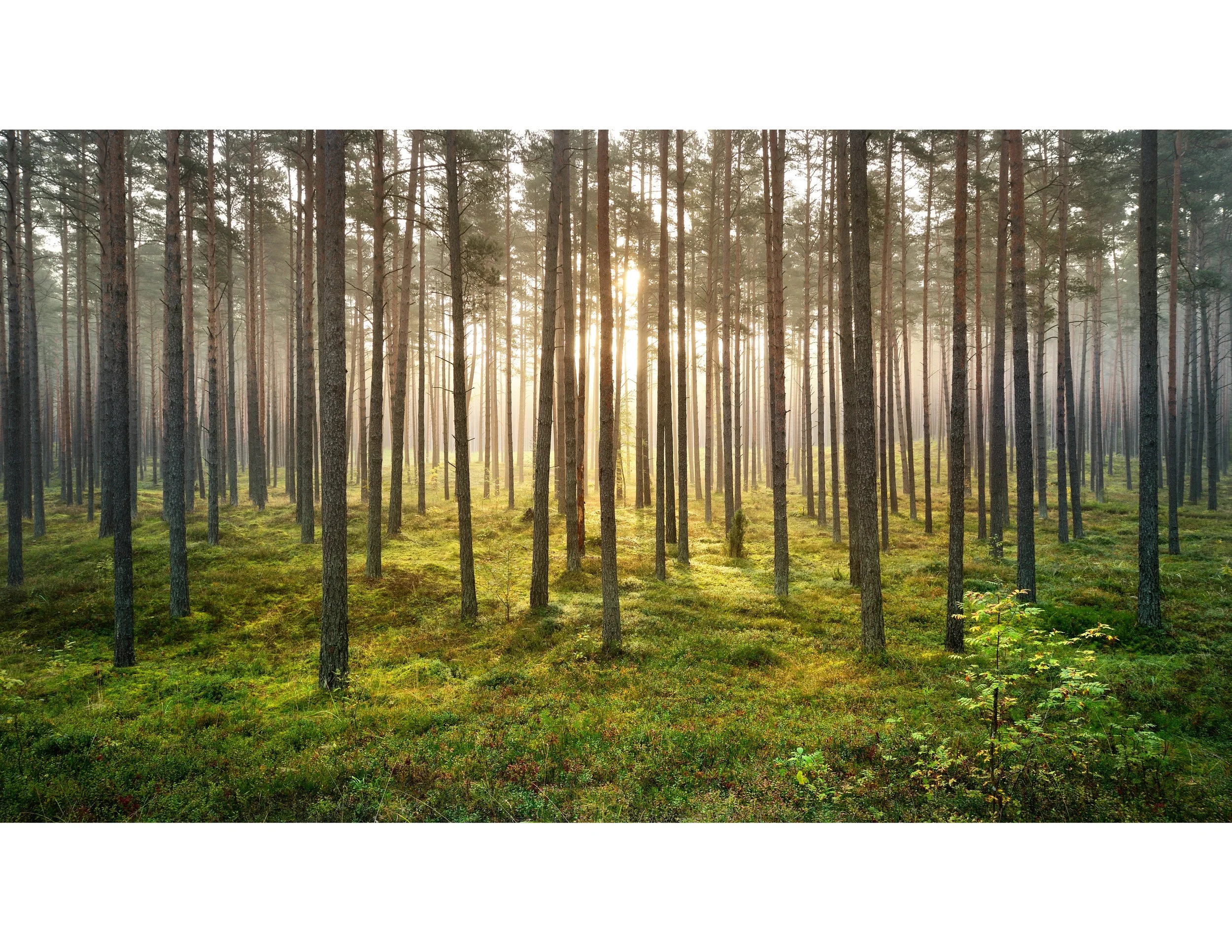 The Growing Edge Podcast With Hosts Carrie Newcomer &amp; Parker J. Palmer 