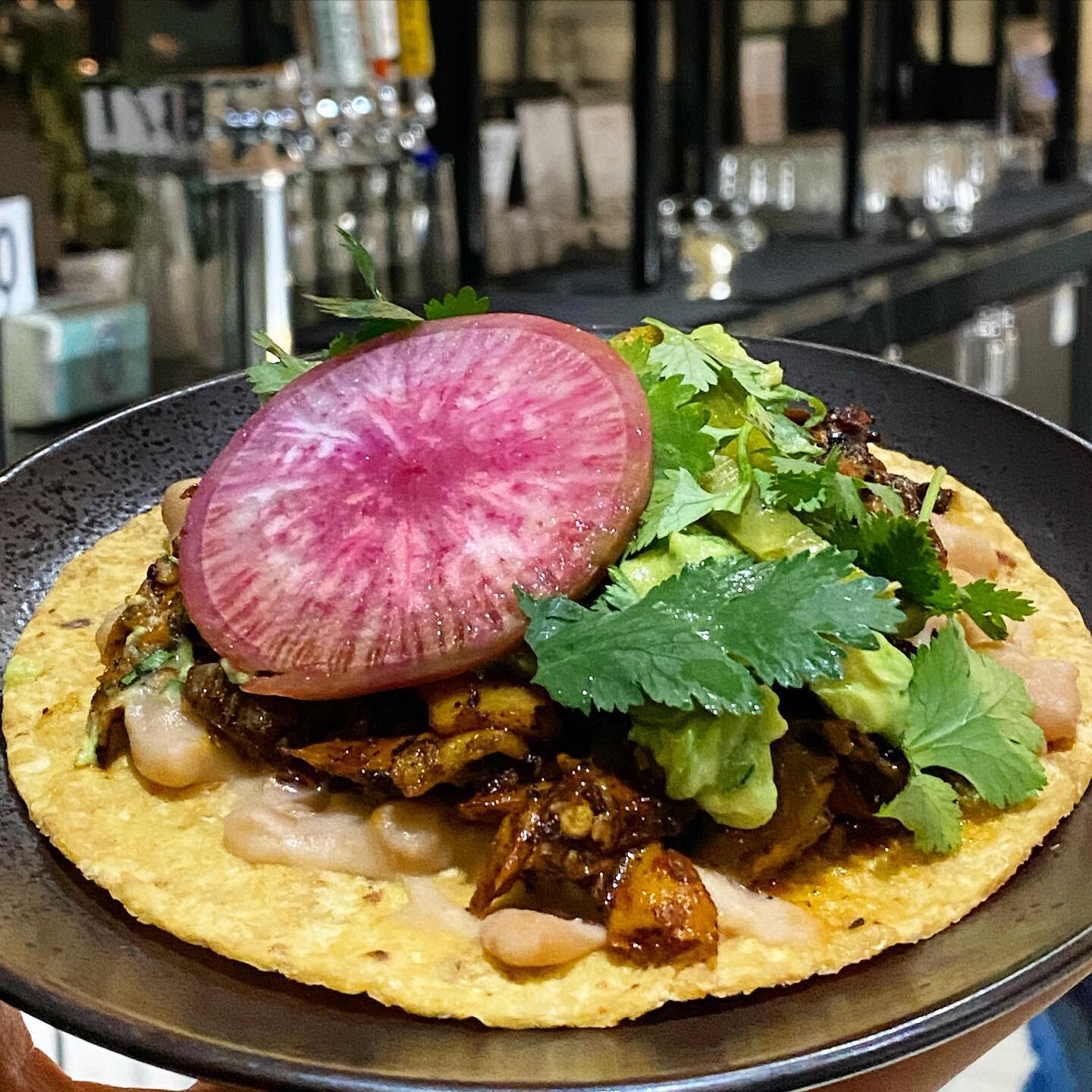 We&rsquo;ve got another brand new special🙌🏼 See you tomorrow for our mouth watering Black Pearl Mushroom Tostada! 

Includes:
Herbed Avocado Salsa
Lola&rsquo;s Beans
Fermented Cactus
Watermelon Radish
Picked Cilantro

#lola55 #lola55sandiego #miche