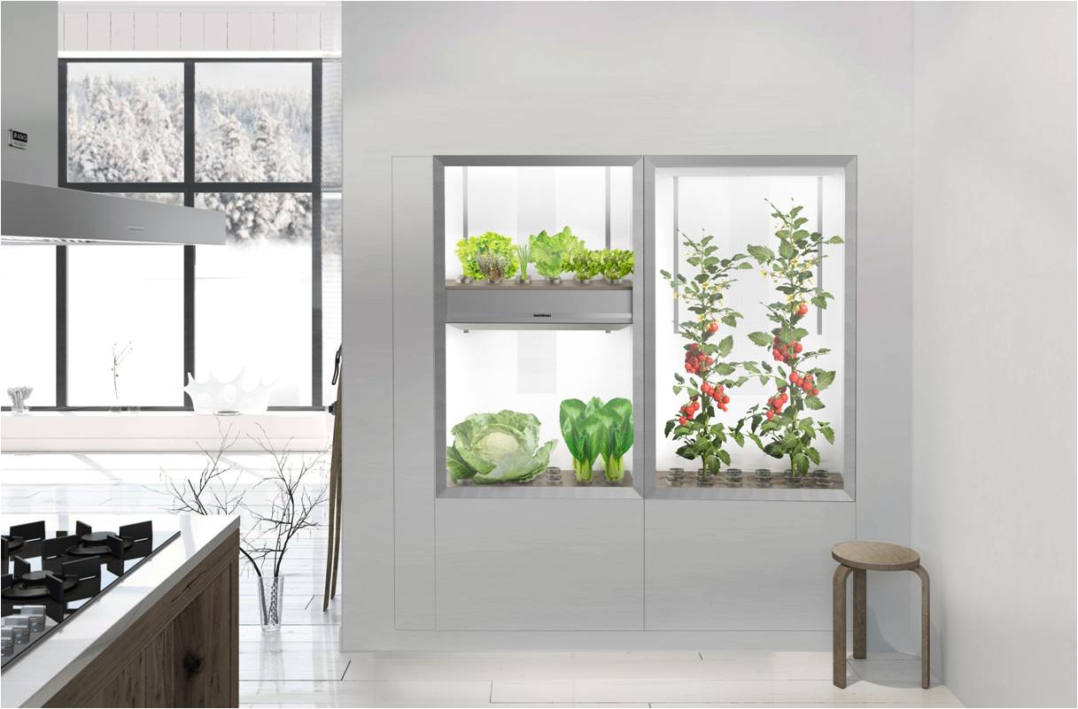 Home_garden_in_kitchen.jpg