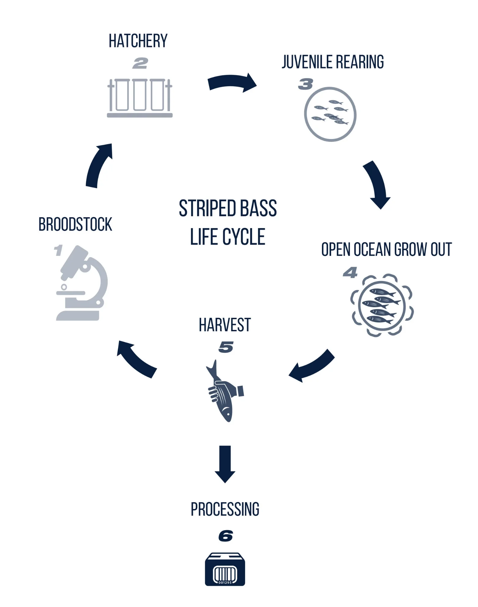 DIAGRAM-02.jpg