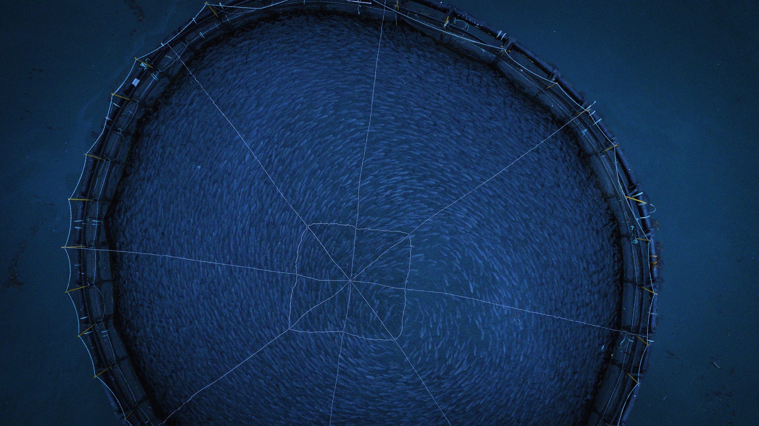 EWP2018_PacificoAquaculture-3084.jpg