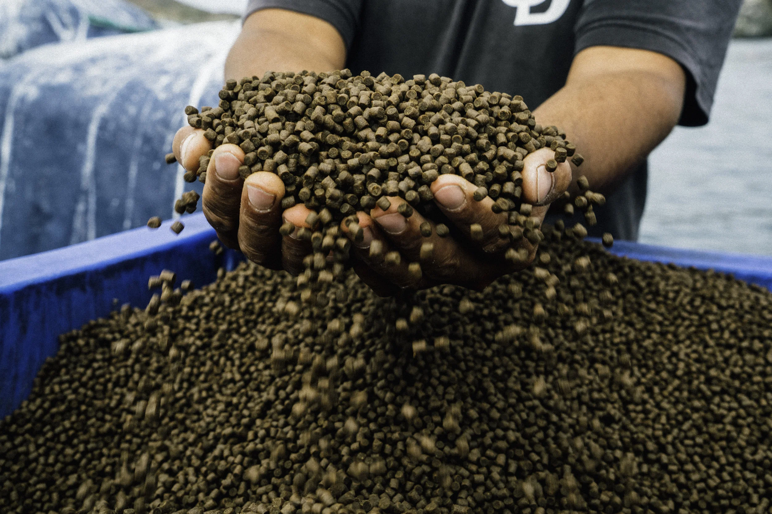 EWP2018_PacificoAquaculture-2487.jpg