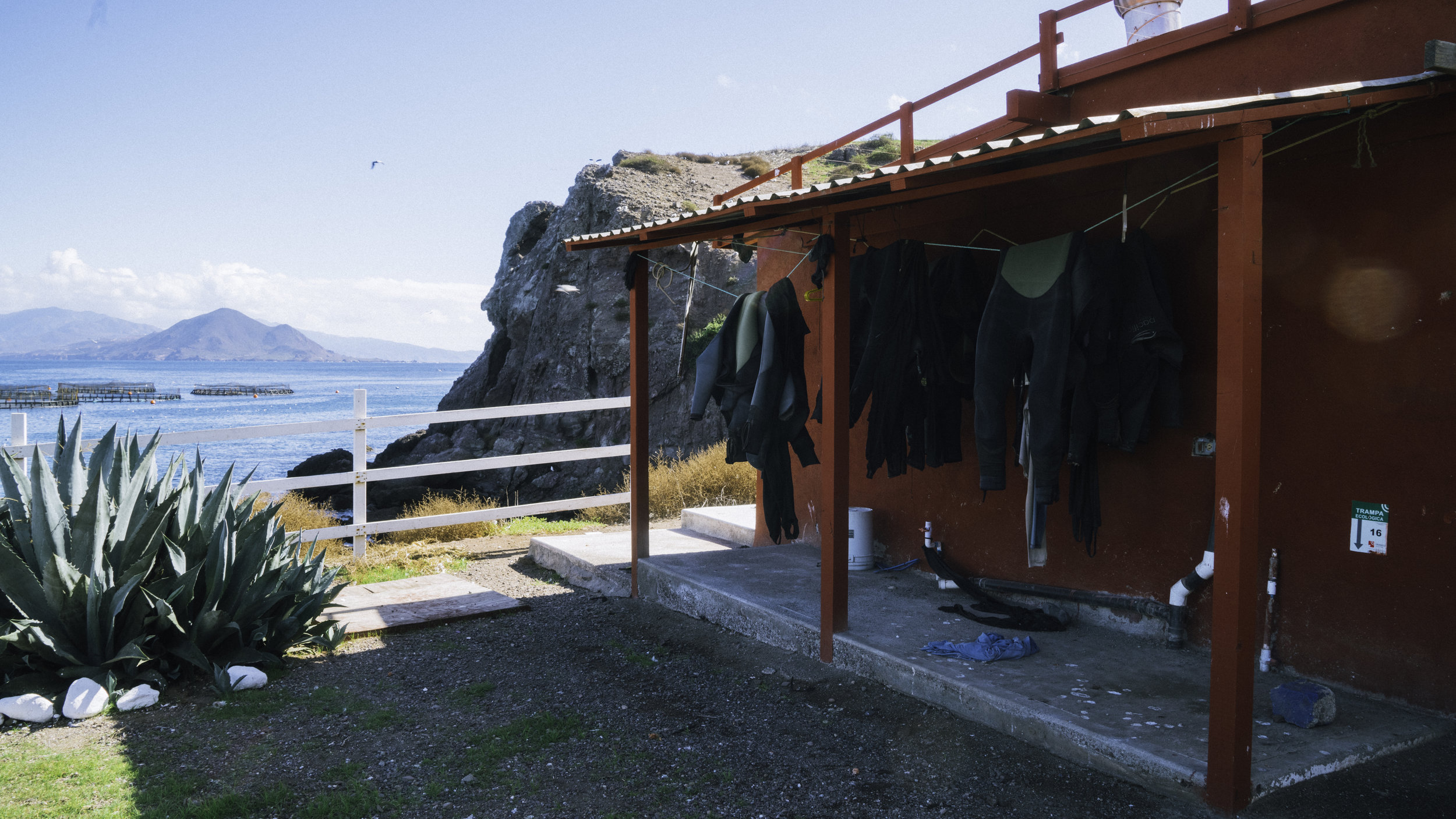 EWP2018_PacificoAquaculture-0132.jpg