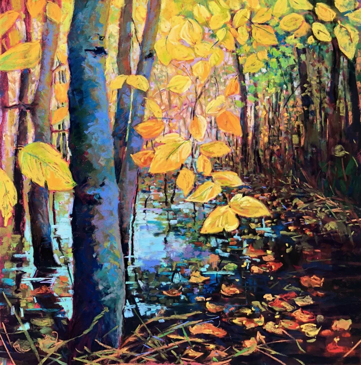 wetlands