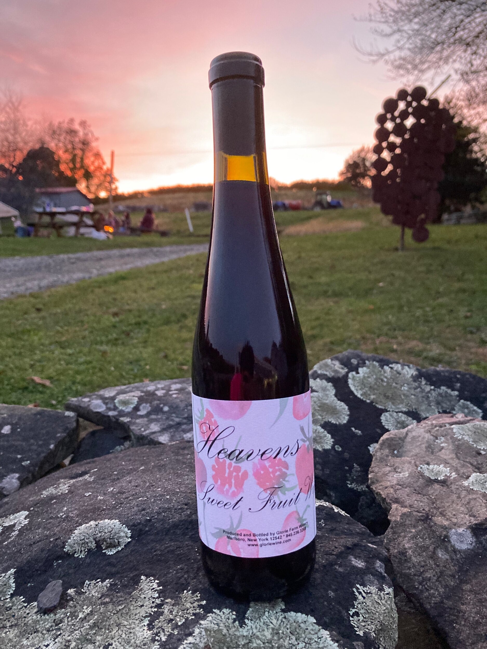 F8ADC97E-398D-4D62-A75D-DE15CA4F7A04