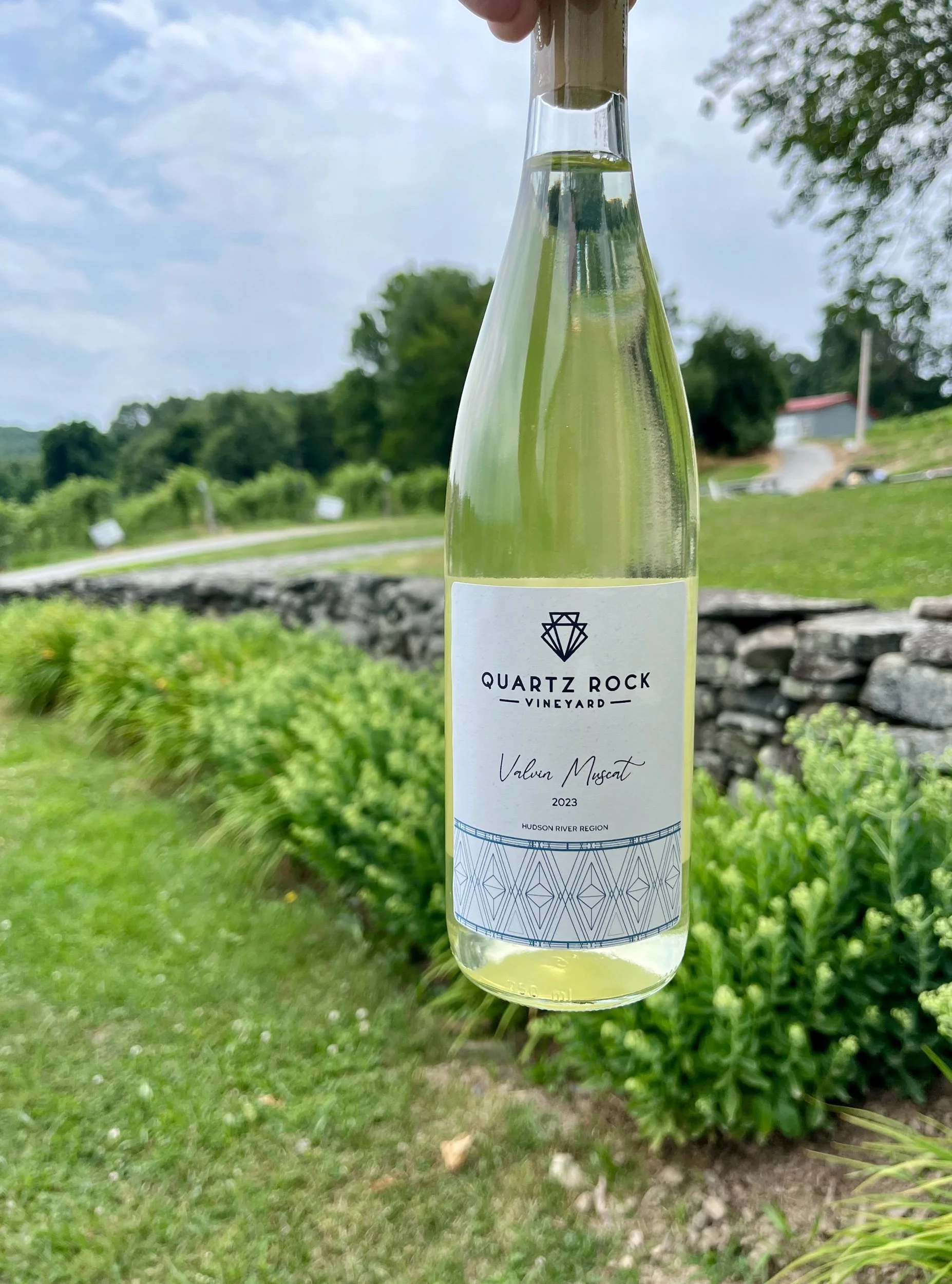 Valvin Muscat 2023 Estate