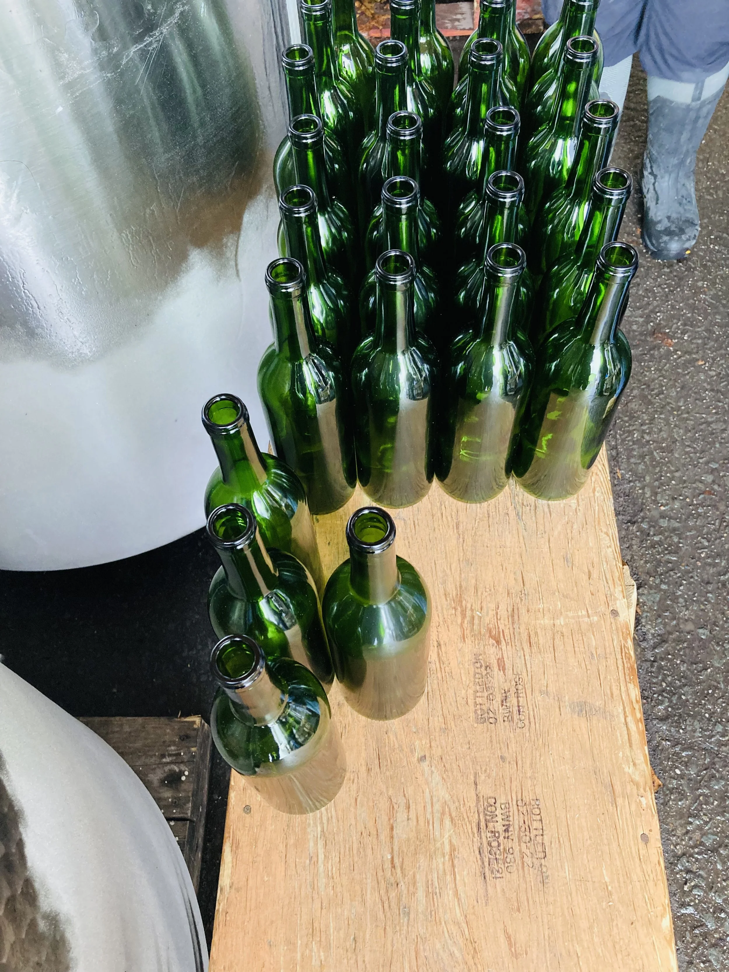 Nebbiolo Nouveau 2024 Estate