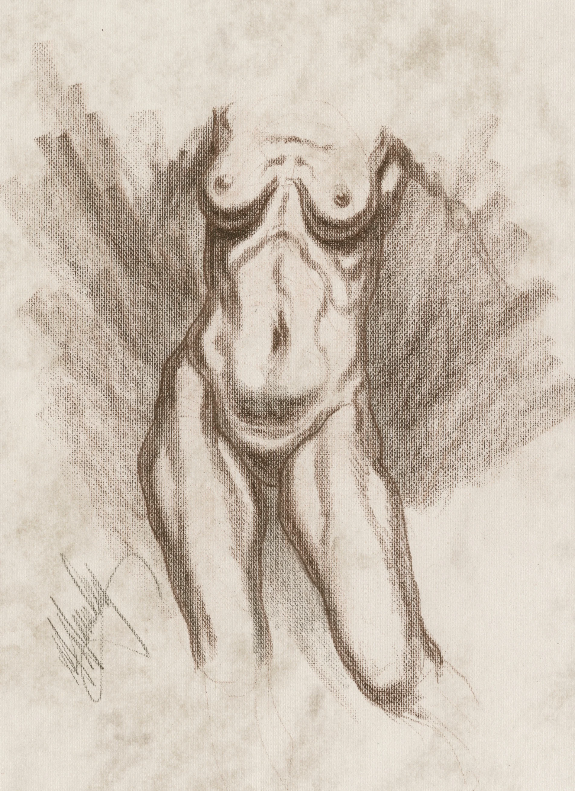 Life Drawing, The Female Form, By Michael M Hensley
