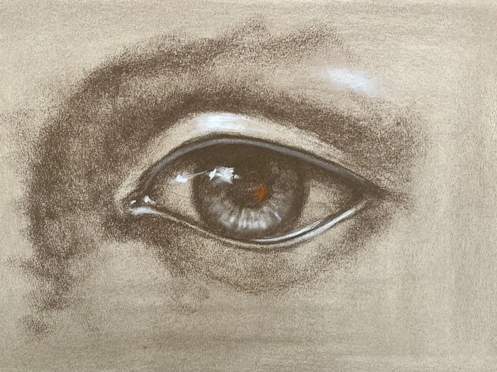 Human Eye, Pastel by Michael M Hensley (Copy)