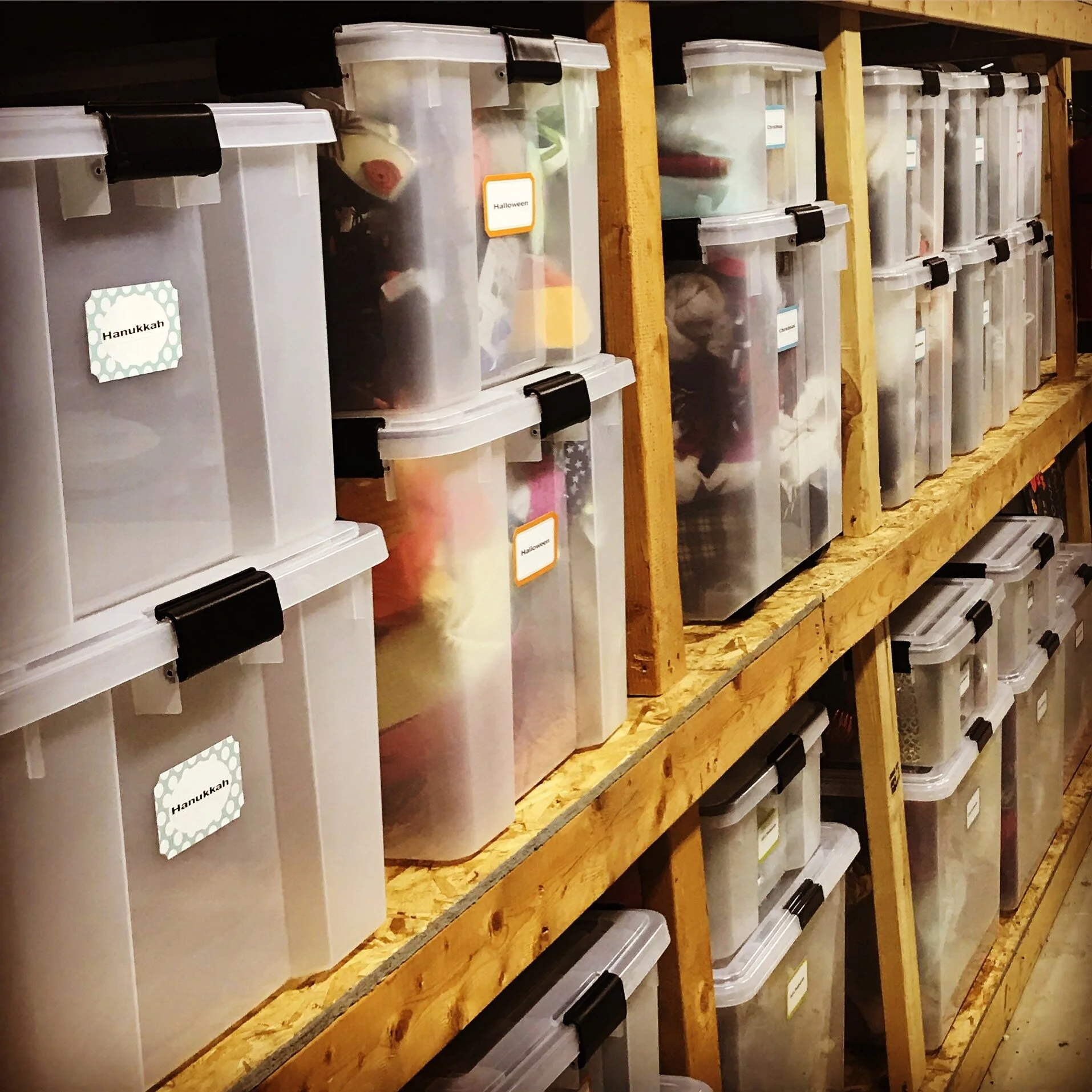 Organized Basement Storage - Clear Containers.JPG