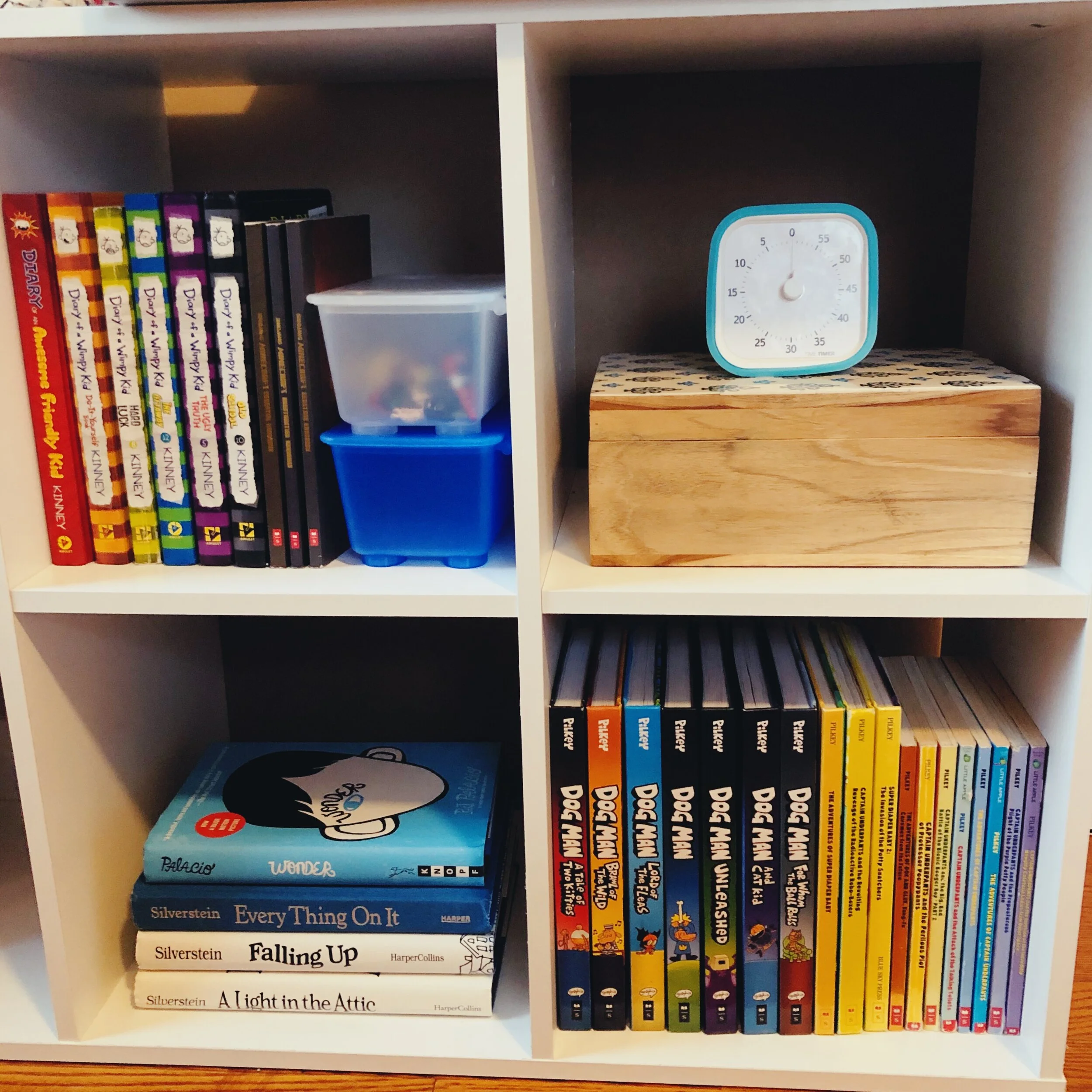 Child - Organized Cube Shelf.JPG