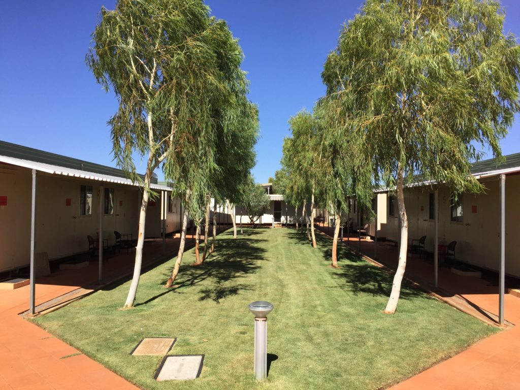 Mowed-grass-rooms-1-to-16-1024x768.jpg